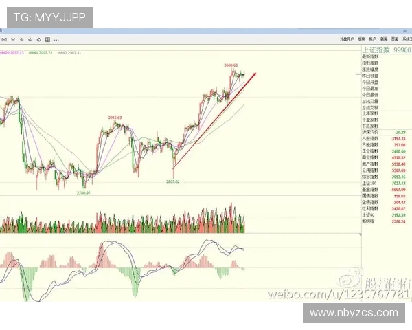 杭州滑板队防守策略深度分析与战术解读